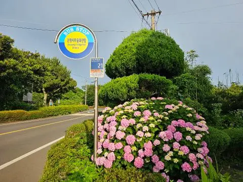 2025 놓치지 말아야 할 ‘여름’ 제주관광 <SUMMER IN JEJU: TRAVEL YOUR WAY - 제주의 여름, 당신의 취향을 담다>