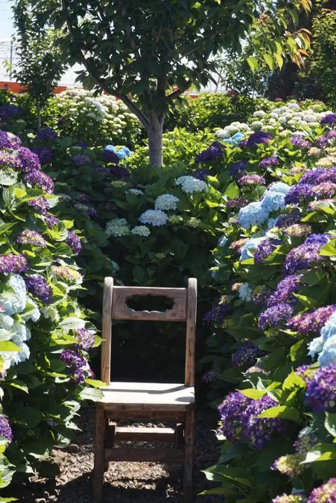 이벤트 <당신의 여행 취향은 무엇인가요?>