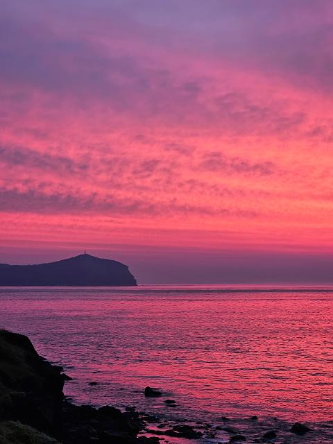 2025 놓치지 말아야 할 ‘여름’ 제주관광 <SUMMER IN JEJU: TRAVEL YOUR WAY - 제주의 여름, 당신의 취향을 담다> 리뷰사진2