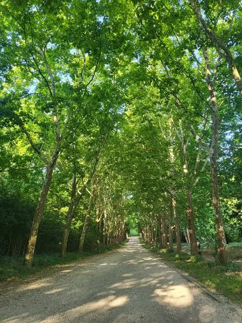 이벤트 <당신의 여행 취향은 무엇인가요?>