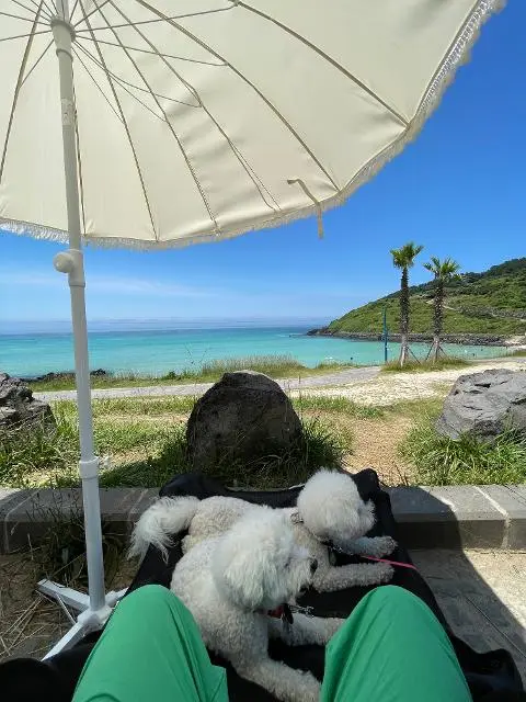 이벤트 <당신의 여행 취향은 무엇인가요?>