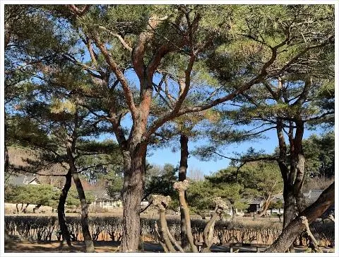 이벤트 <당신의 여행 취향은 무엇인가요?>