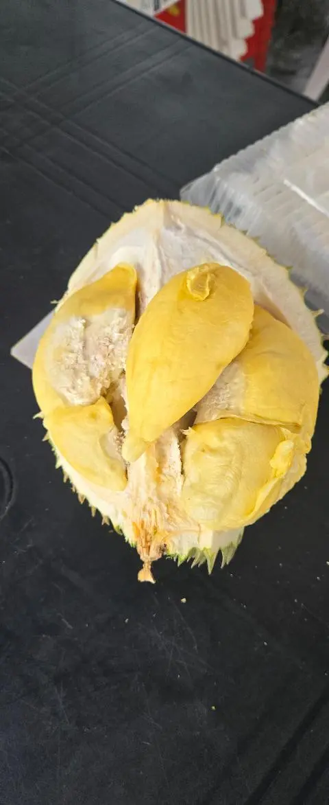 이벤트 <당신의 여행 취향은 무엇인가요?>