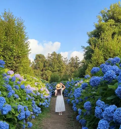 이벤트 <당신의 여행 취향은 무엇인가요?>