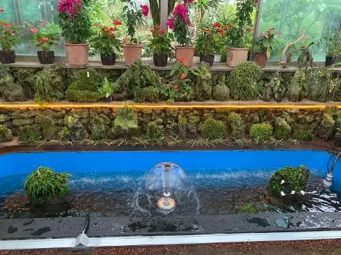 김정문알로에 알로에숲