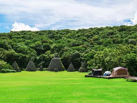 제주교래자연휴양림야영장 대표이미지