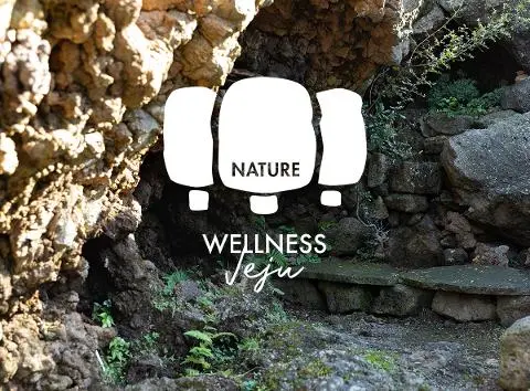 파파빌레 대표이미지