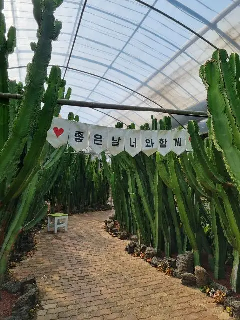 김정문알로에 알로에숲