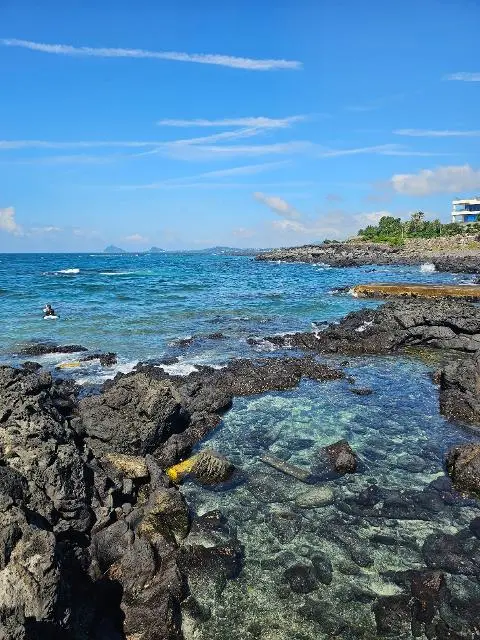 이벤트 <세계가 주목하는 K-김밥! 제주의 특별한 김밥 맛집은?>
