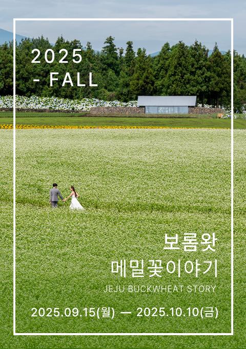 보롬왓 메밀꽃이야기 대표이미지