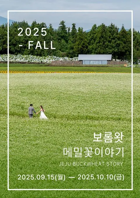 보롬왓 메밀꽃이야기 대표이미지