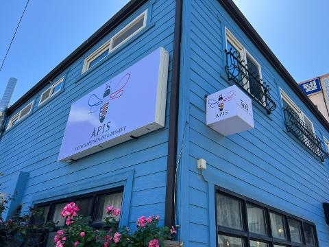 Apis 대표이미지