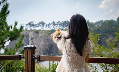 2025 놓치지 말아야 할 ‘가을’ 제주관광 <AUTUMN IN JEJU: TRAVEL YOUR WAY - 제주의 가을, 당신의 취향을 담다> 대표이미지