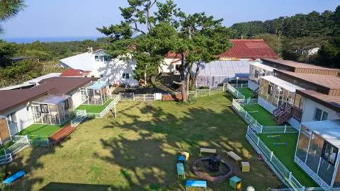 Jeju Dangdangi Park Resort 대표이미지