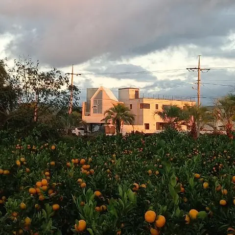 Grihao 대표이미지