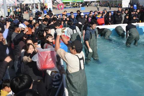  제25회 최남단방어축제 대표이미지