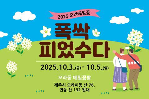 2025 오라메밀꽃 폭싹 피었수다 대표이미지
