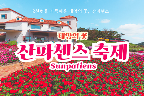 에코랜드 산파첸스 축제 대표이미지