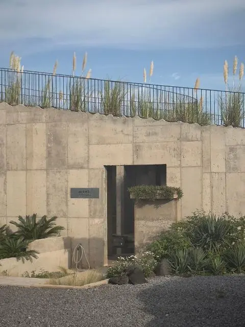 Moasi 대표이미지