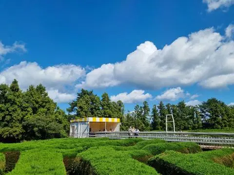 제주김녕미로공원