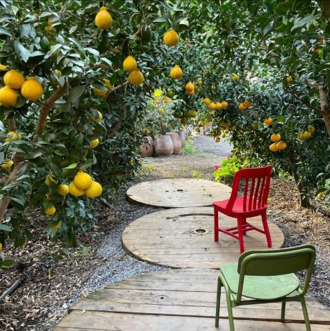 Soesokkak Sanmool Tourist Farm 대표이미지