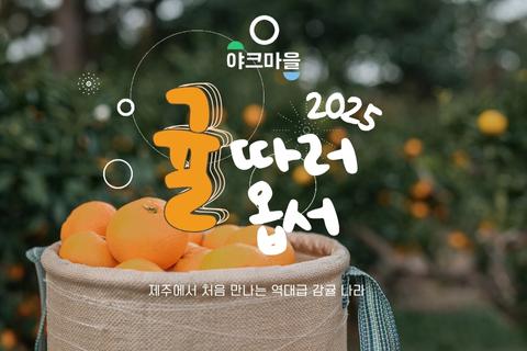 2025 귤 따러 옵서 대표이미지