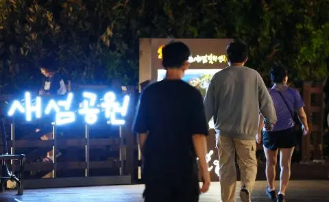 일몰과 함께 시작되는 새섬 빛의 연주  대표이미지