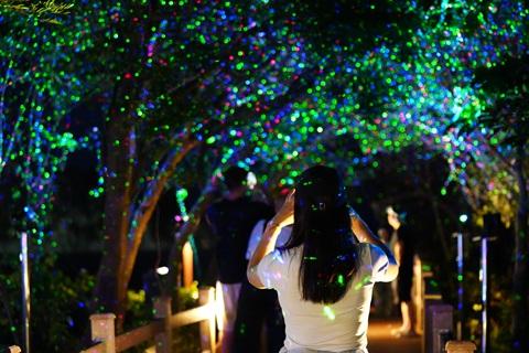 일몰과 함께 시작되는 새섬 빛의 연주  대표이미지