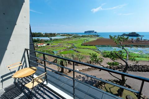 더비비스제주 대표이미지