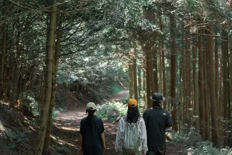 진정한 쉼표를 선물하는 하루 <제주 로컬 체험 여행> 대표이미지