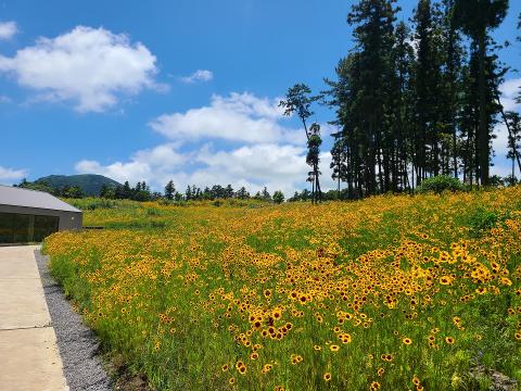 우정원베이커리 제주삼나무점 대표이미지