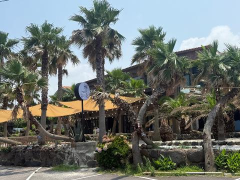 탐나당 대표이미지