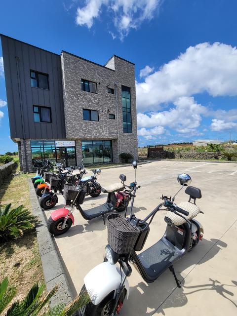 제주환상전기자전거 대표이미지