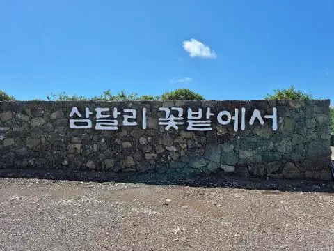 Samdal Garden 대표이미지