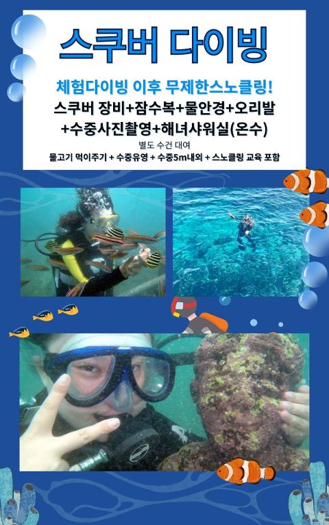 잠수교육연구협회 대표이미지