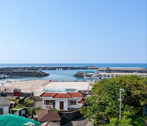 푸른달 대표이미지