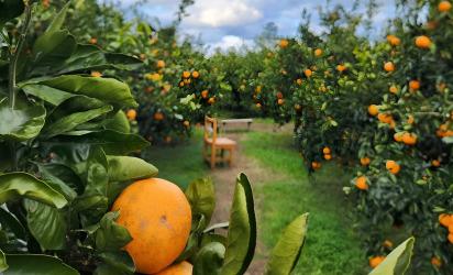 이번 겨울, 제주에서 뭐하지? <AI와 미리 보는 제주의 겨울> 대표이미지