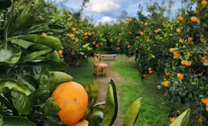 이번 겨울, 제주에서 뭐하지? <AI와 미리 보는 제주의 겨울> 대표이미지