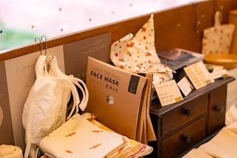 지속가능한 ESG 관광! 지구를 지키는 제주 여행 대표이미지