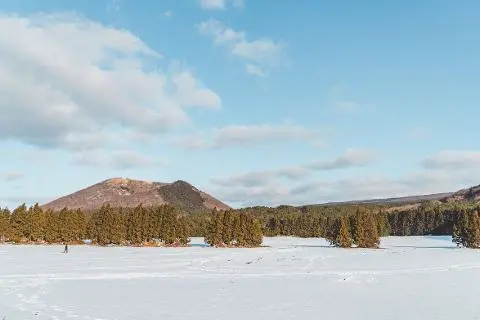 2025 Must-See 'Winter' Jeju Attractions <WINTER IN JEJU: TRAVEL YOUR WAY - Jeju's Winter, Capturing Your Preferences>