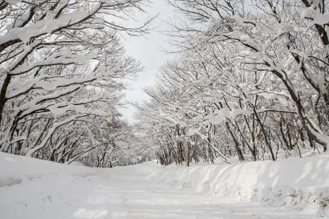 2025 見逃せない"冬"の済州旅行 <WINTER: TRAVEL YOUR WAY - 済州の冬、あなたの好みに寄り添う> 대표이미지