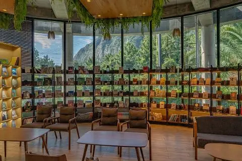 2025 Must-See 'Winter' Jeju Attractions <WINTER IN JEJU: TRAVEL YOUR WAY - Jeju's Winter, Capturing Your Preferences>