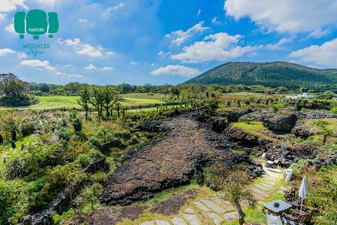 Papa Ville 대표이미지