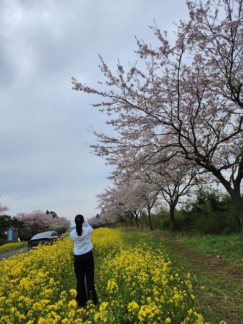 [5(Oh!)my jeju 캠페인 이벤트-축제·행사편] 제주 축제행사를 칭찬해